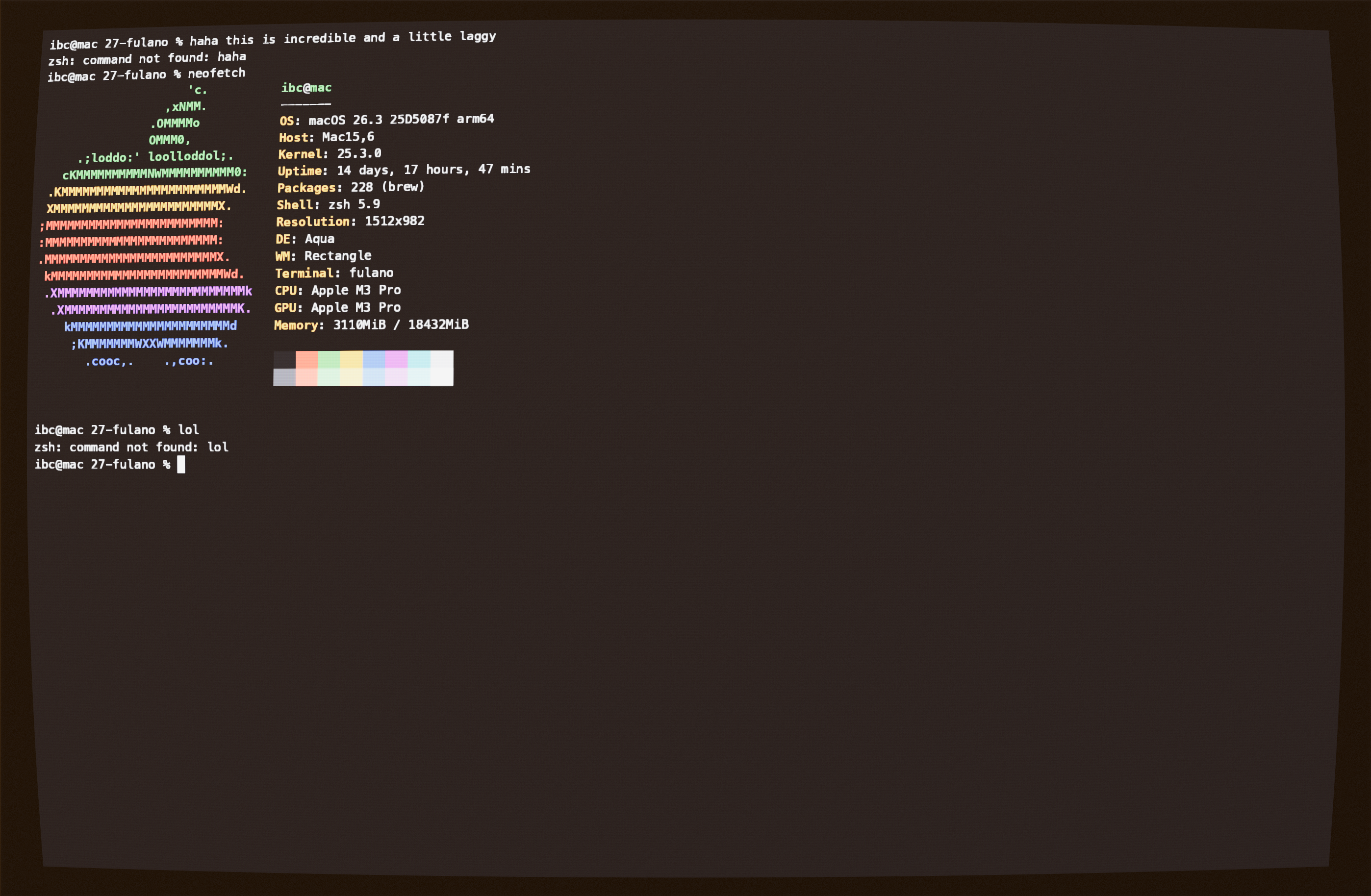 Terminal rendered through an emulated glass CRT screen in the afternoon
